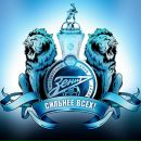 Фотография Бродниковского Александра