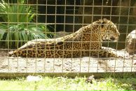 Іван Спас фотография #27 (источник - https://vk.com/id103149214)