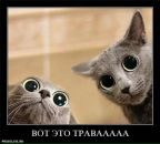 Іванна Мельничук фотография #2 (источник - https://vk.com/id12898392)
