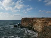 Олексій Гончар фотография #10 (источник - https://vk.com/id14295251)