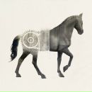 Фотография Notawinner Sorryyouare