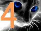 Діма Японцев фотография #9 (источник - https://vk.com/id74129738)