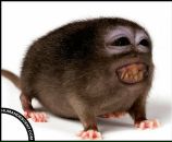 Фотография Hater Михаила