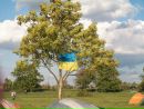 Борис Ніньовський фотография #39 (источник - https://vk.com/id15223413)