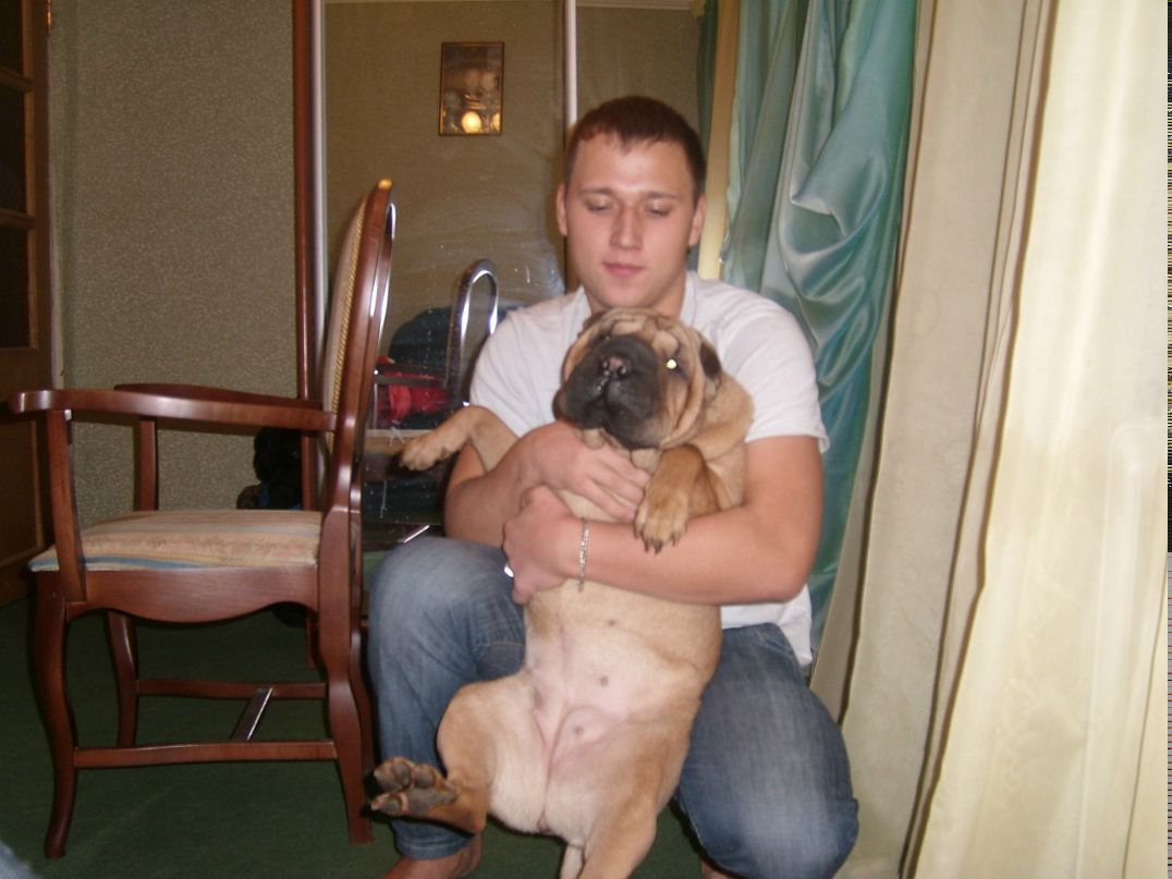 Гриша Дорощенко фотография #43