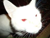 Фотография Долгобородова Kosmos