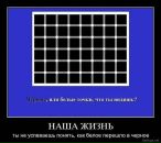 Сергій Біденко фотография #40 (источник - https://vk.com/id87591344)