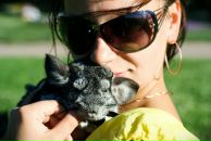 Марина Кремлёва фотография #28 (источник - https://vk.com/id368166)