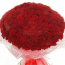 Вероніка Ковальчук фотография #39 (источник - https://vk.com/id75882054)