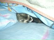 Дима Сергеевич фотография #41 (источник - https://vk.com/id1479155)