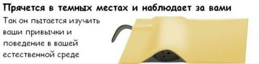 Алекс Сам фотография #42 (источник - https://vk.com/id1064225)