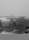 Іванка Бевз фотография #4 (источник - https://vk.com/id66015128)