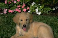 Андрій Жолобчук фотография #1