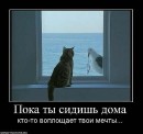 Фотография Крумина Яна