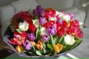 Фотография Рыжковой Екатерины