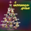 Фотография Тюнина Александра