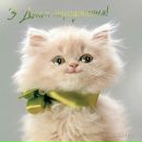 Соломія Борейко фотография #41 (источник - https://vk.com/id150323394)