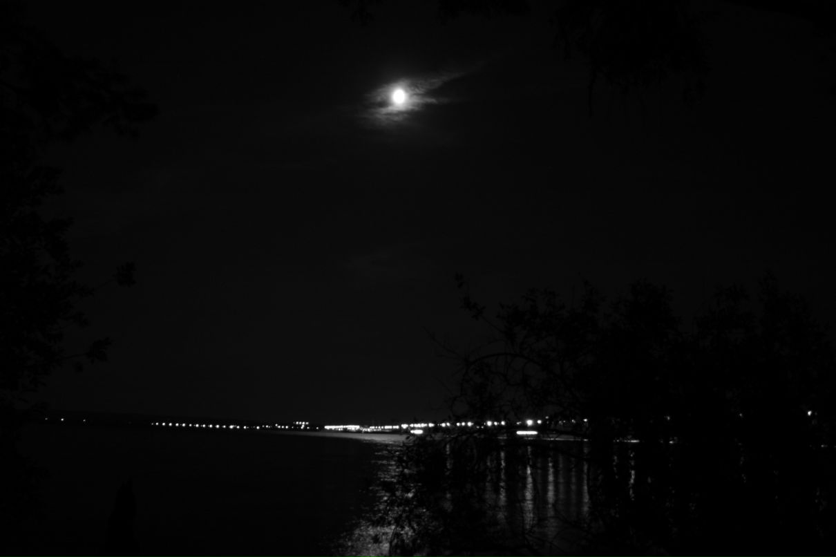 Данил Панин фотография #12