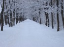 Фотография Нагорнова Андрея