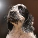 Фотография Быстровой Елены