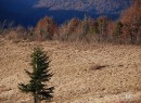 Міша Юріна фотография #23 (источник - https://vk.com/id70576909)