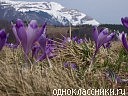 Міша Юріна фотография #28 (источник - https://vk.com/id70576909)