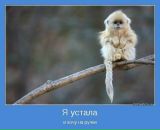 Фотография Красавиной Ирины