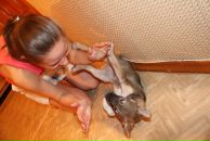 Фотография Дитковской Кристины