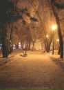 Фотография Кутаса Ильи