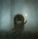 Фотография Станкевич Светланы