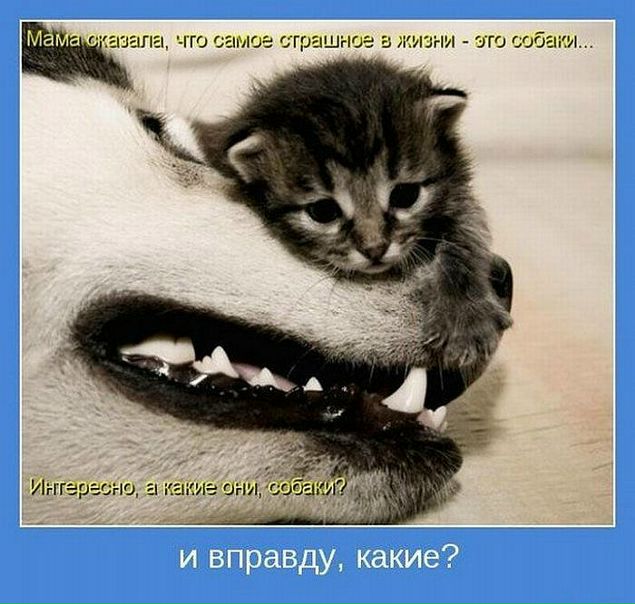 Иннулька Плотникова фото №24
