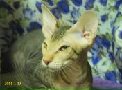 Фотография Ивановой Татьяны