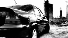 Фотография Митрофанова Антона