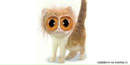 Фотография Мишанковой Анастасии