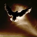 Фотография Крамер Любови