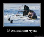 Фотография Шшша Ууу