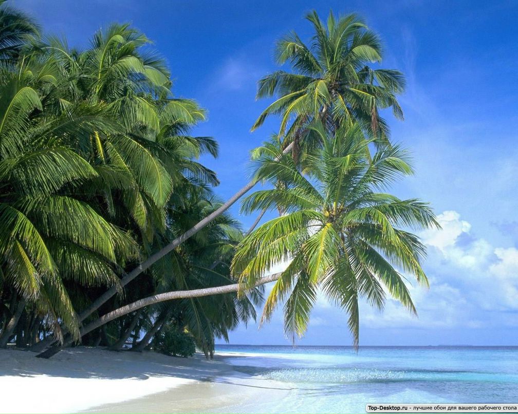 Александр Соболев фотография #3