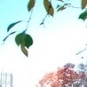 Віола Кравчук фотография #11 (источник - https://vk.com/id150959655)