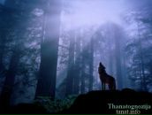 Фотография Доулы-Счастьи Ирины