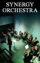 Фотография Orchestra Synergy