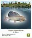 Андрій Савчук фотография #11 (источник - https://vk.com/id82673797)