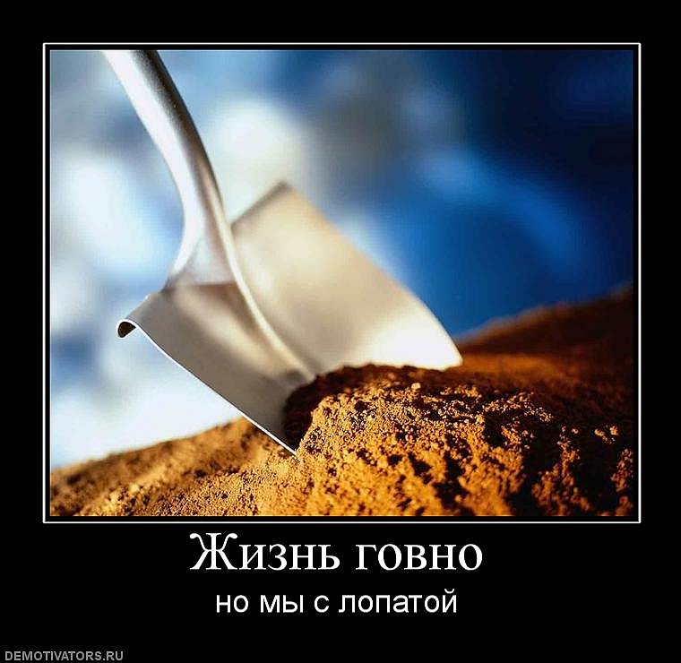 Дима Сыч фотография #22