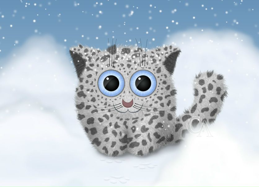 №12, Али Күжүгет, Кызыл, Россия №12, Али Күжүгет, Кызыл, Россия