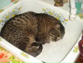 Фотография Макарова Валентина