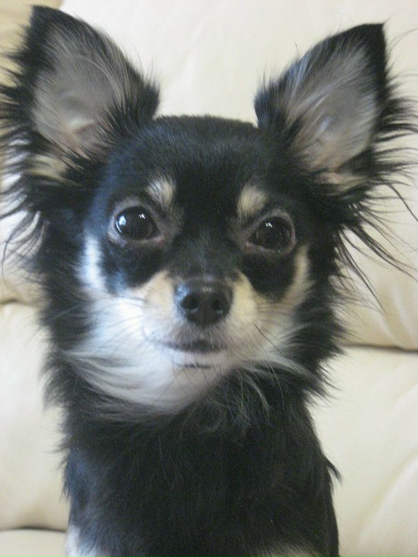 Dmitry Deff фотография #5