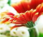 Фотография Забелиной Алины