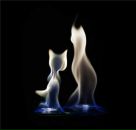 Фотография Алиевой Русият