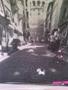 Юлія Приймак фотография #4 (источник - https://vk.com/id33801629)