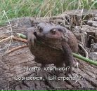 Фотография Aleca Аллы