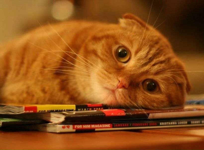 Дмитрий Темников фото №2